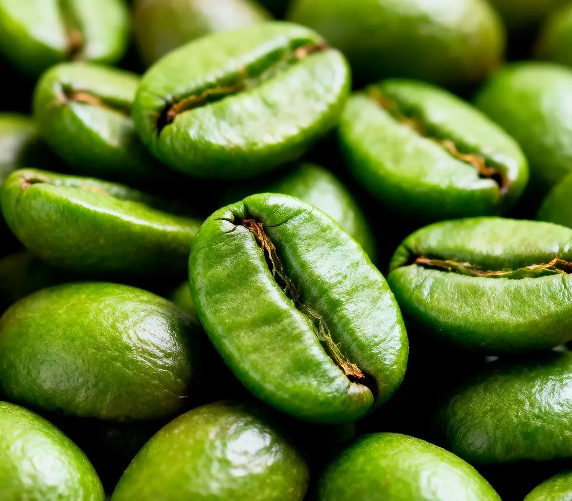 Green Coffee Extract Memocept Ingredient